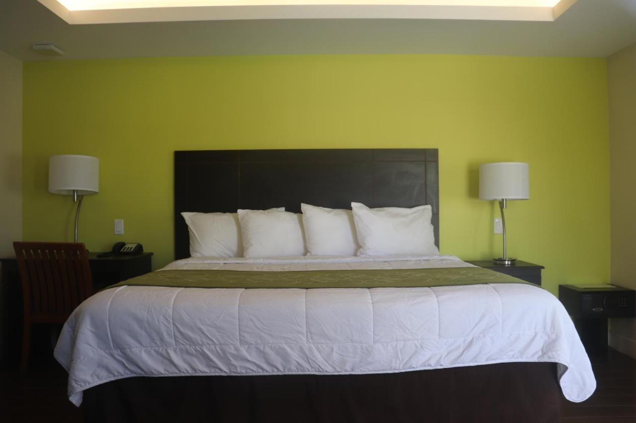 Curtis Inn & Suites ฮอลลีวูด ภายนอก รูปภาพ