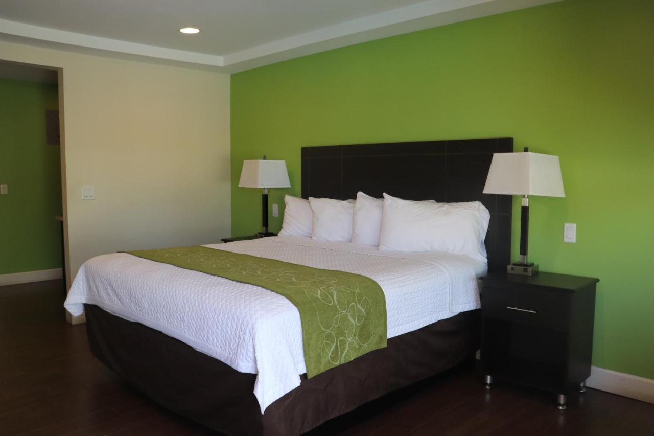 Curtis Inn & Suites ฮอลลีวูด ภายนอก รูปภาพ
